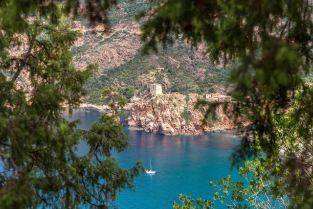 View of the Porto tower from the Castagna path