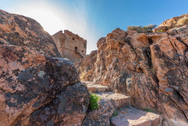 Access to the Porto Tower